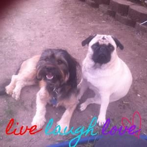 Meet your Posher, Cathy